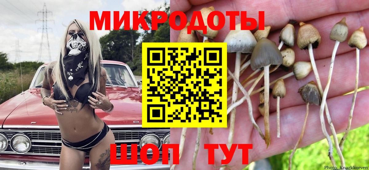 Галлюциногенные грибы MAGIC MUSHROOMS  Галлюциногенные грибы MAGIC MUSHROOMS  Вход с VPN  Астрахань 